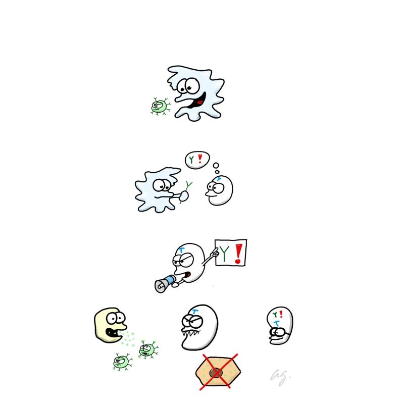 Immunology