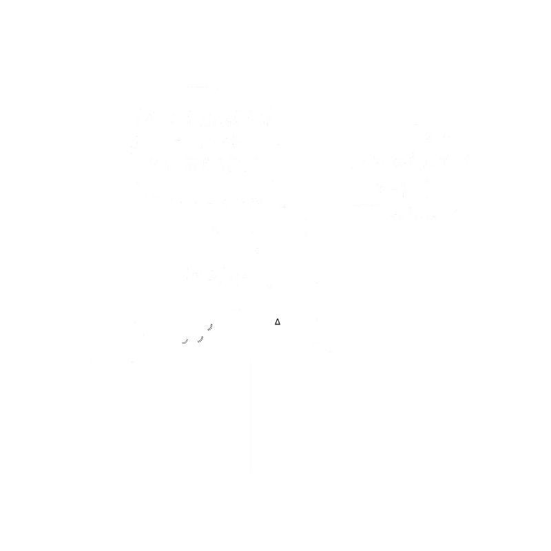 Physicist Formula Case