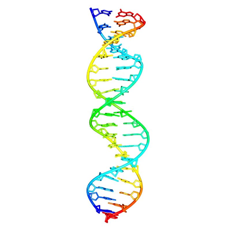 buntes Deoxyribonukleinsäure DNA-Molekül Modell