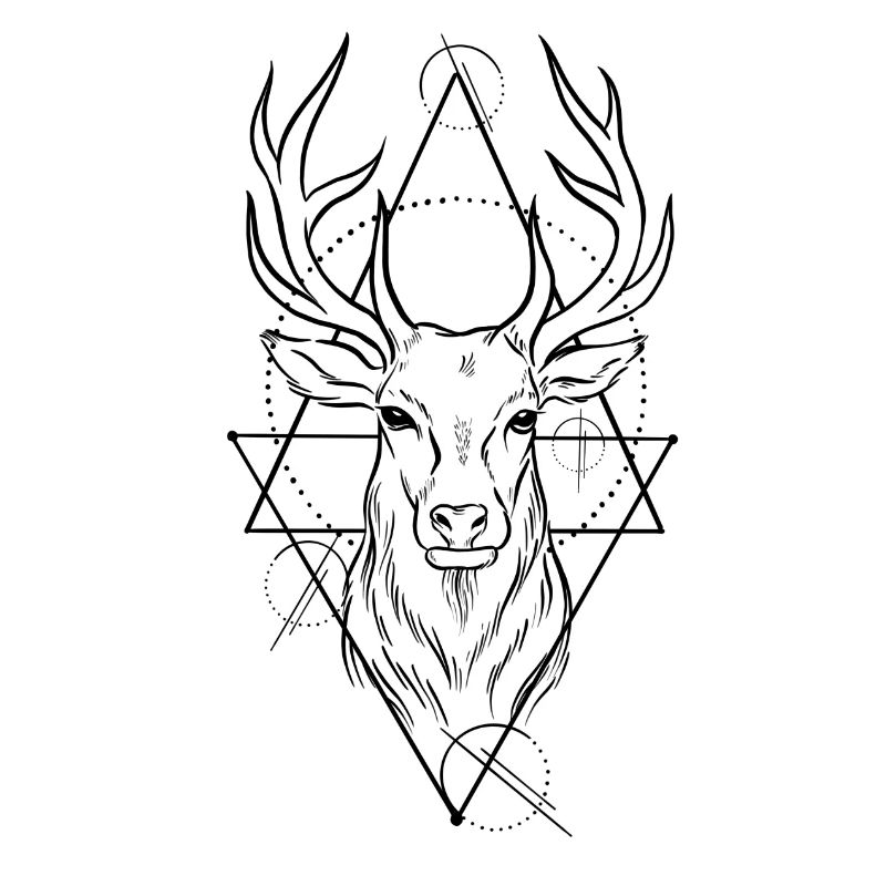 Deer geometry design