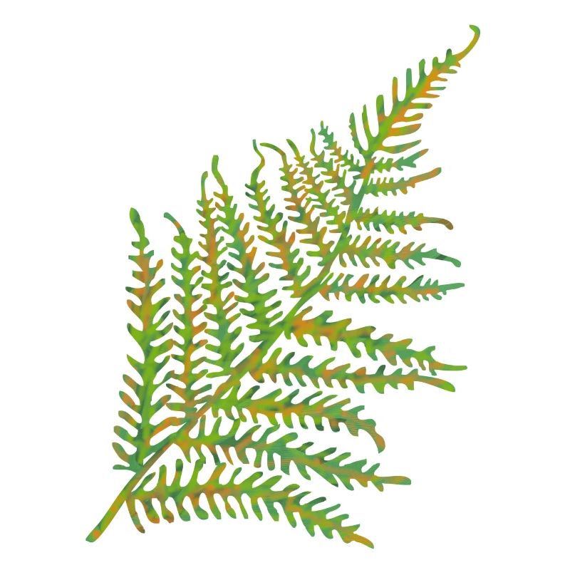 Fern leaf motif