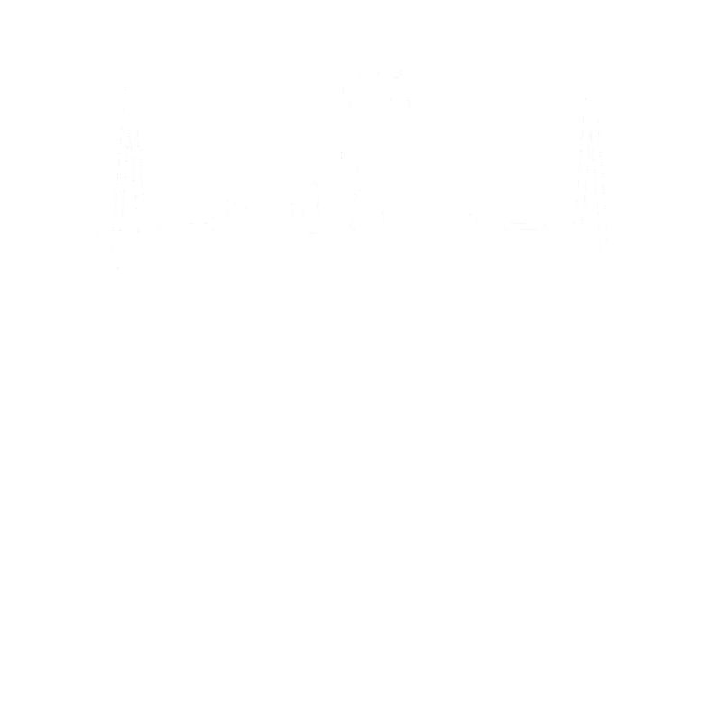 Inline Skating Inline Skating Roller Skates