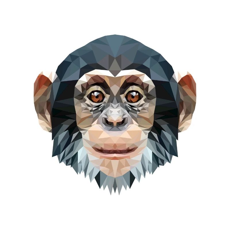 Polygon design monkey chimpanzee