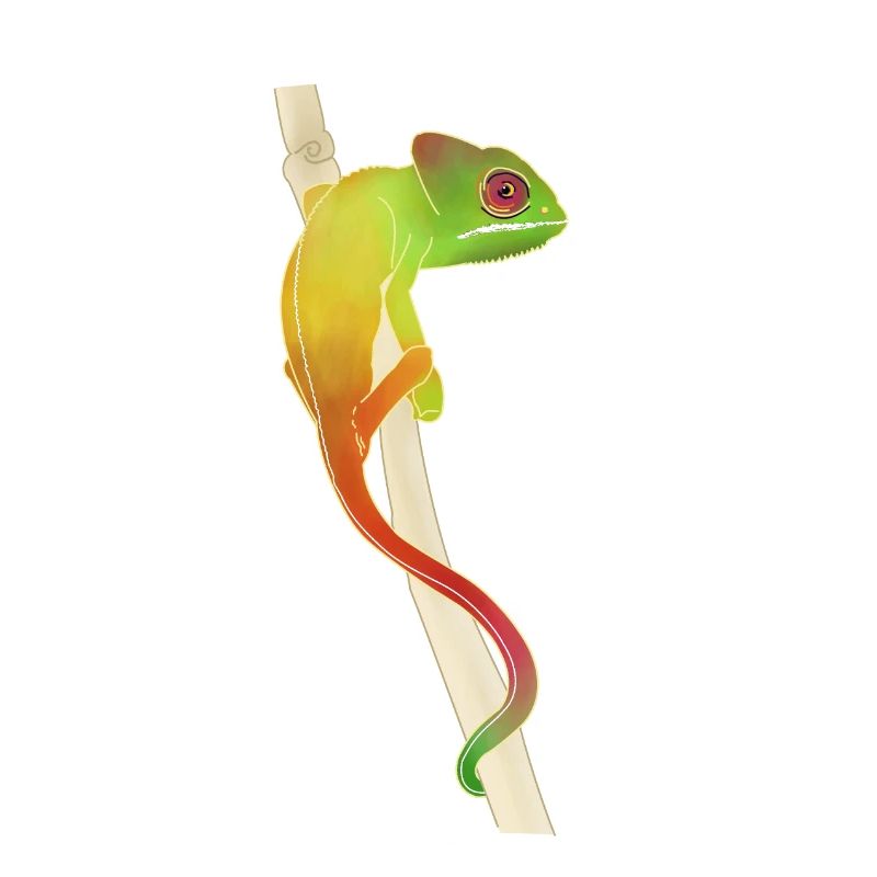 caméléon