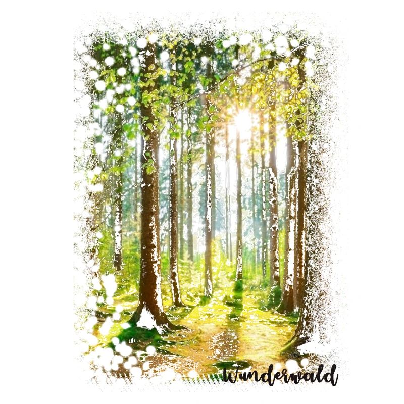 Forêt miraculeuse, forêt