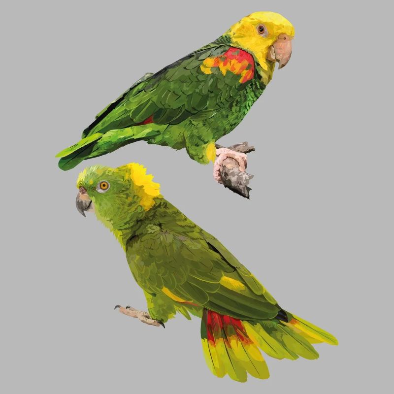 Perroquets