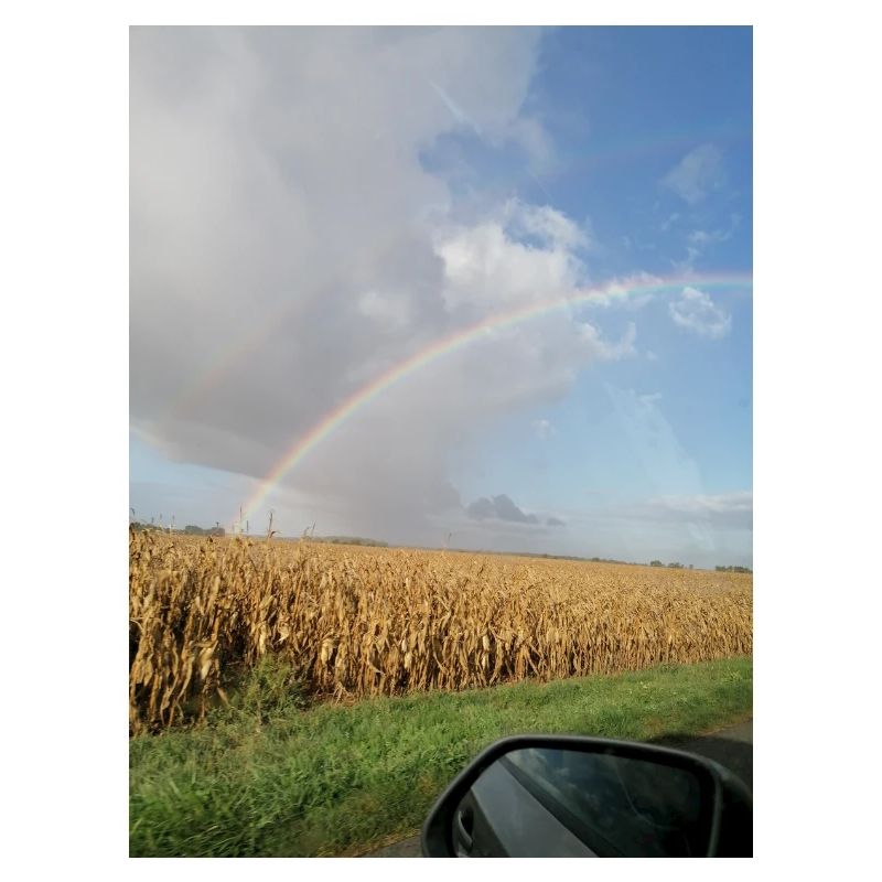 Rainbow on the road and wheat fields