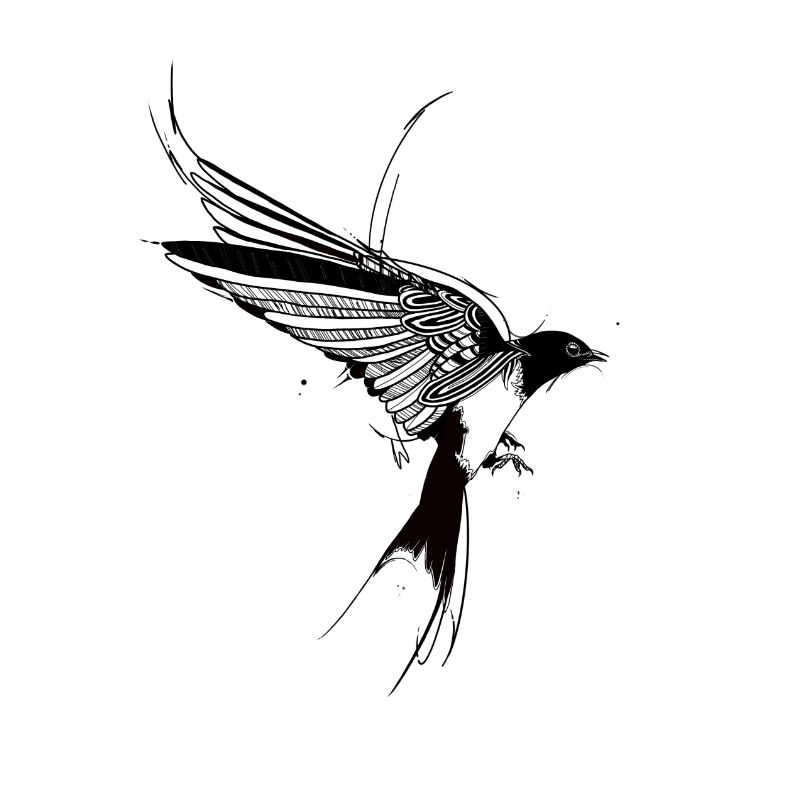 Swallow