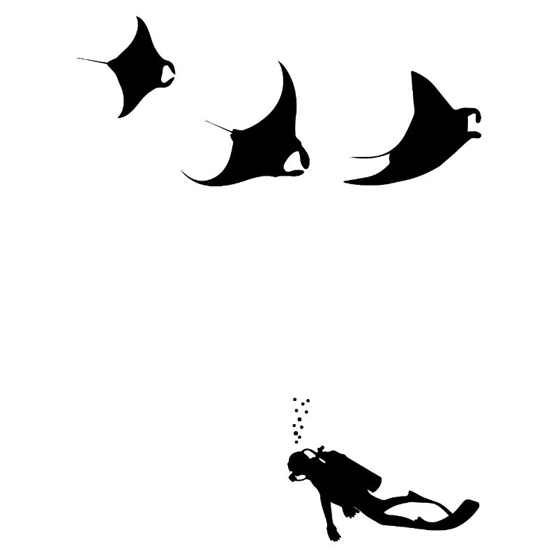mantas_taucher
