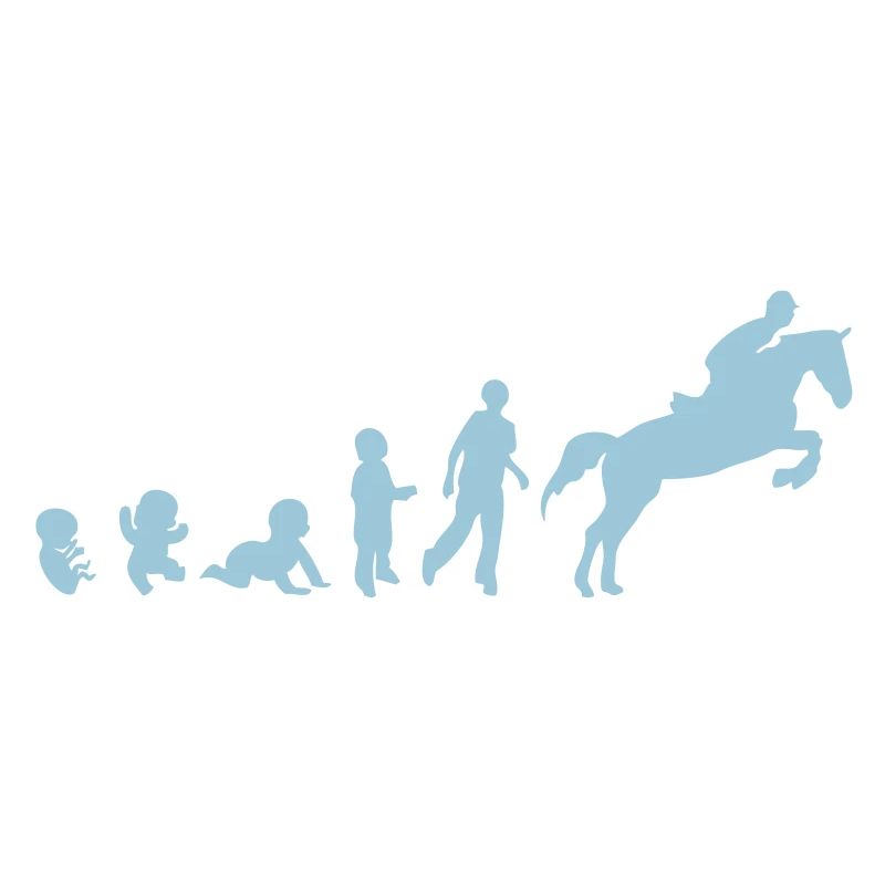 Evolution cheval3 obstacle riding his