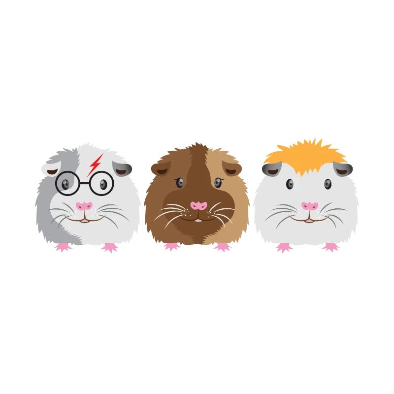 Trois petits cochons d'Inde mignons