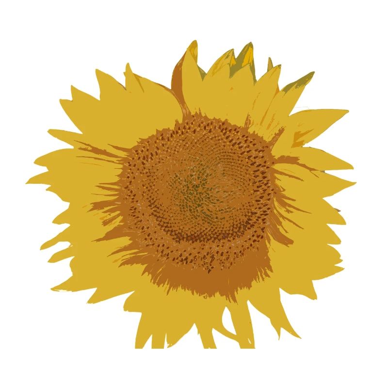 Tournesol