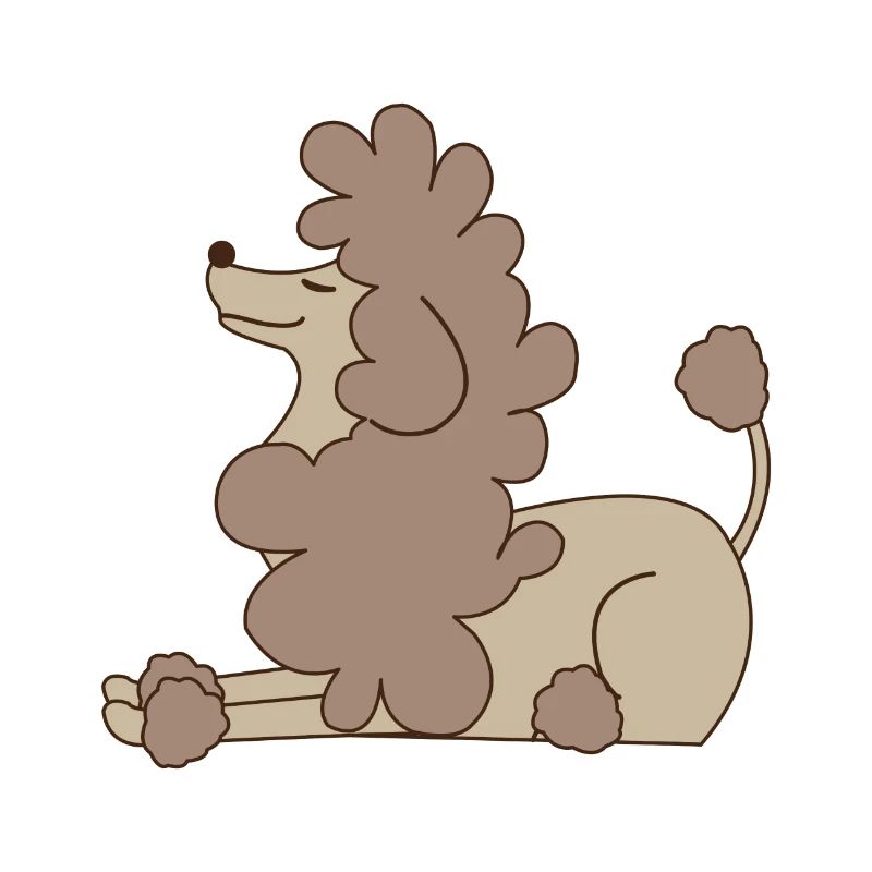 caniche