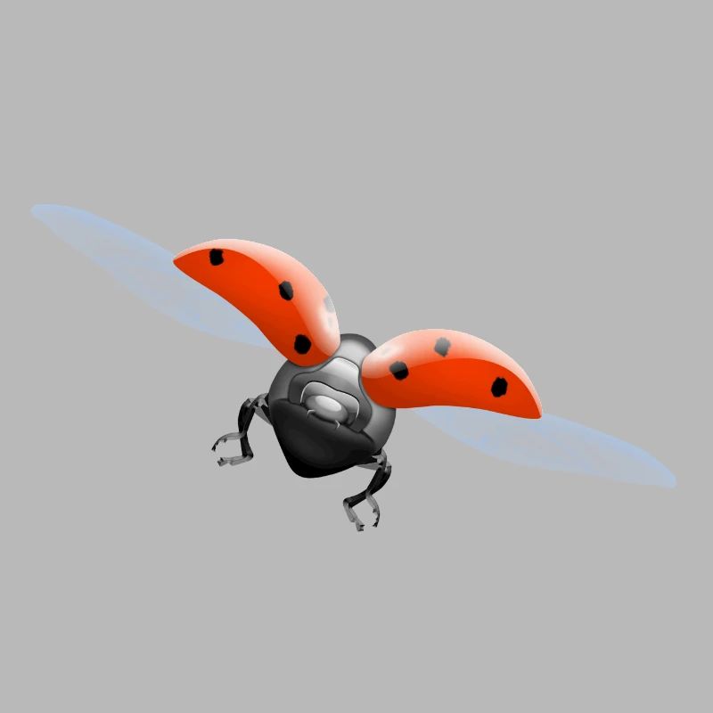 ladybug Marienkäfer