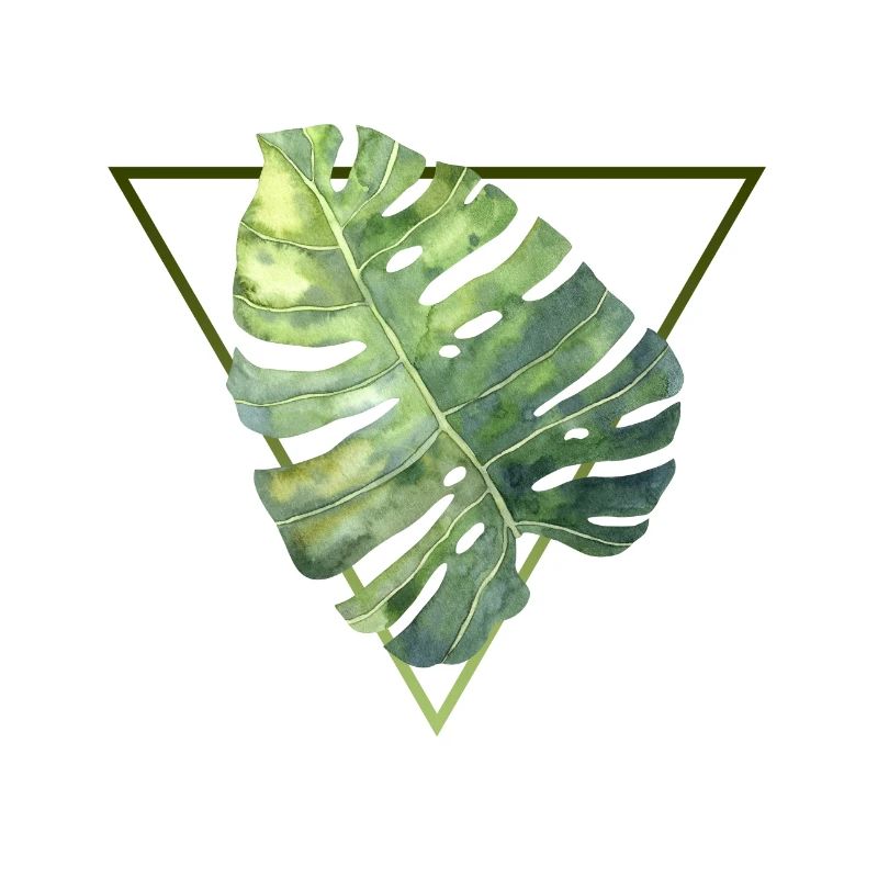 tropical monstera leaf modern triangle pattern