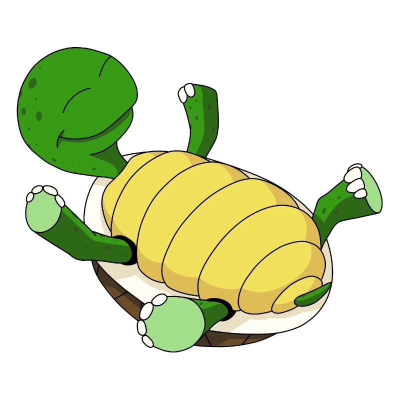 Turtle on its back
