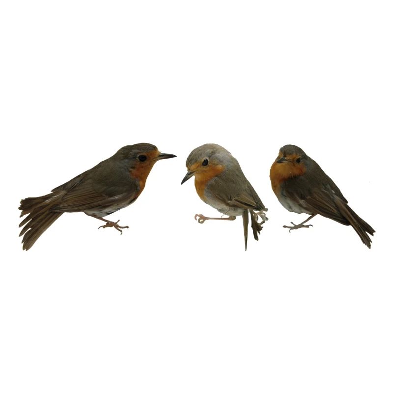 Trois Merles