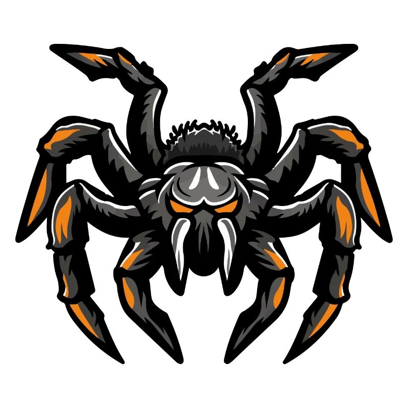 spider
