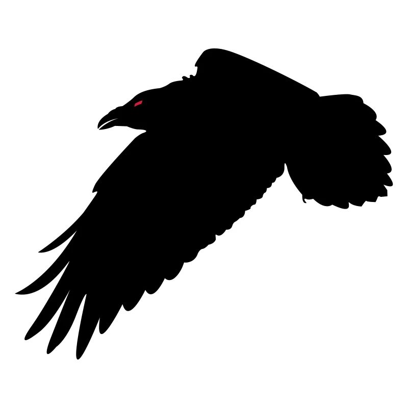 Schwarzer Rabe