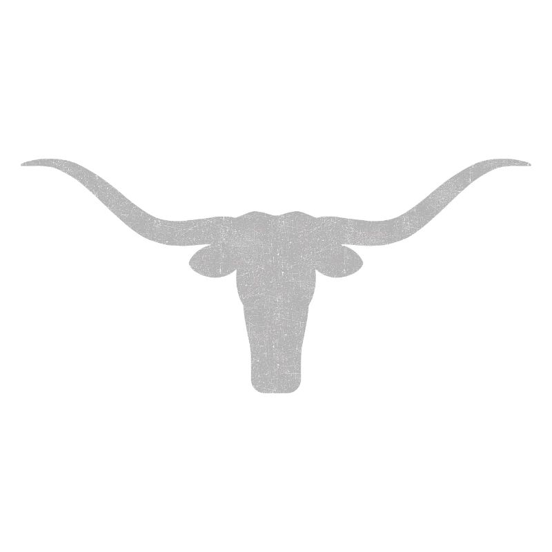 Stier