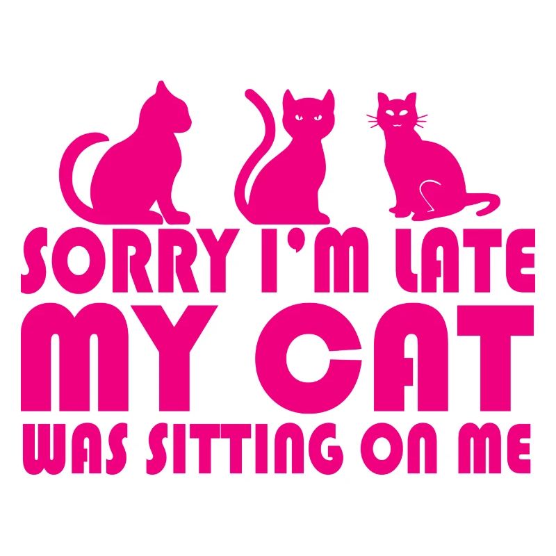 Chat Katze