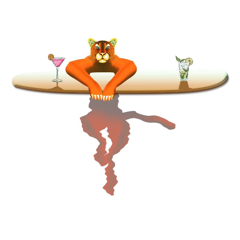 Katze auf einem Surfbrett
