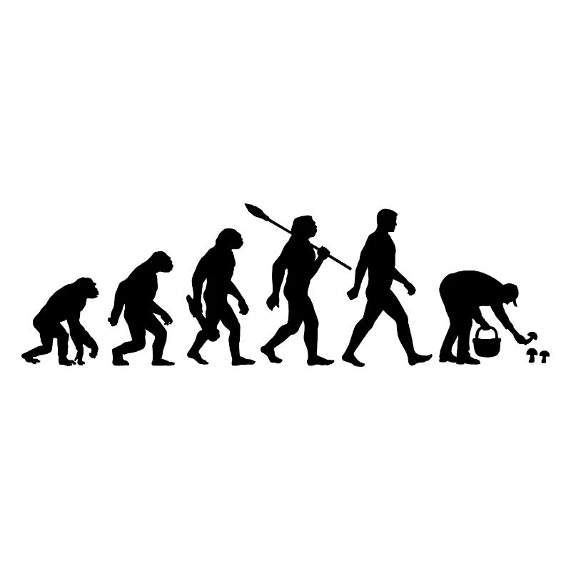 Evolution Cueilleurs de champignons, Cueillette de champignons
