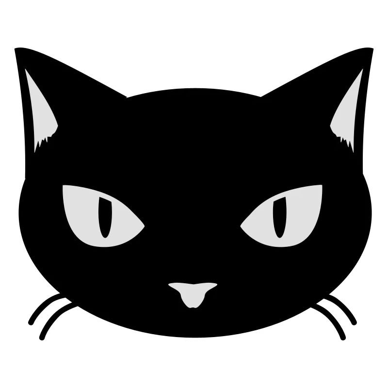 cat - kitty - katze - chat