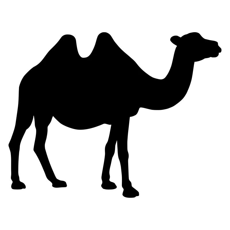 Kamel Silhouette