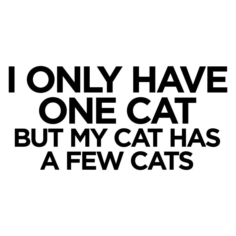 JE N’AI QU’UN CHAT MAIS MON CHAT A QUELQUES CHATS