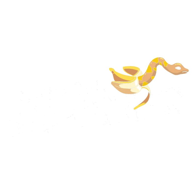 King python design pour les amateurs de serpents