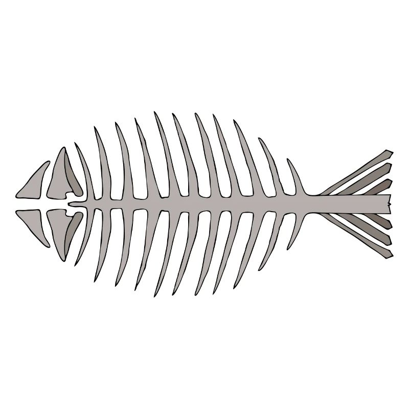 Fish skeleton