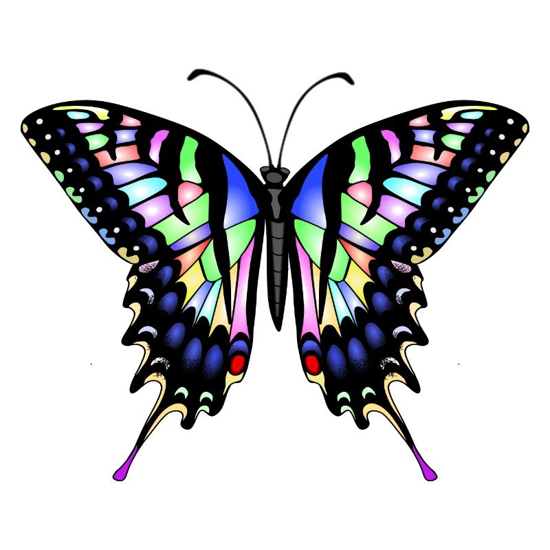 Dovetail Butterfly