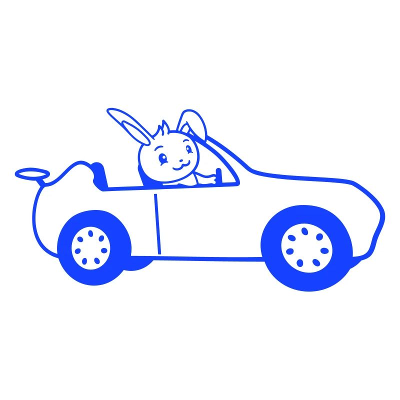 Rabbit Car Fast Driving Driver License