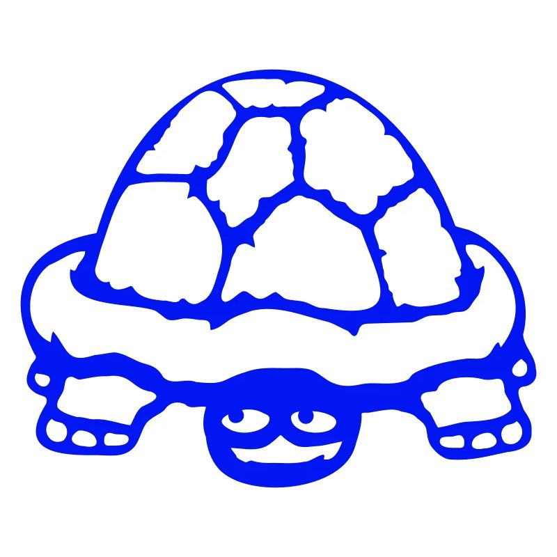 tortue cachée timide sourire drôle