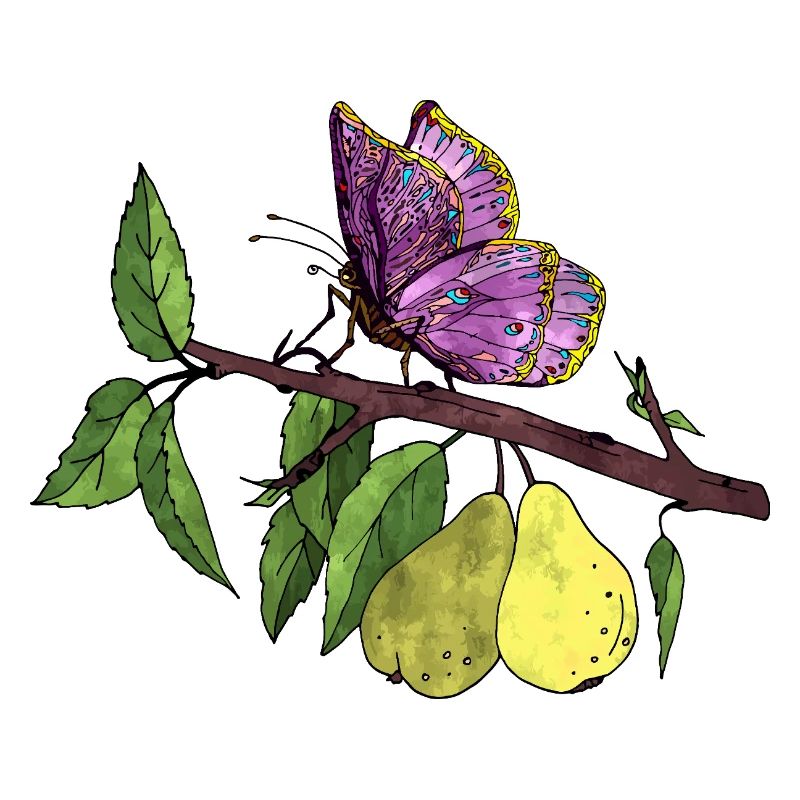 Papillon