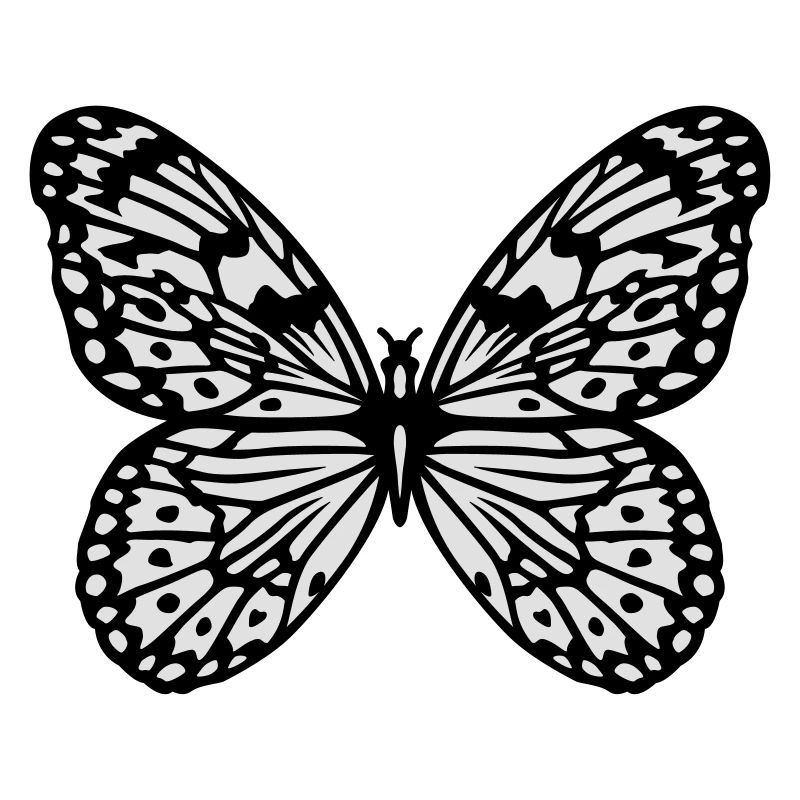 Schmetterling