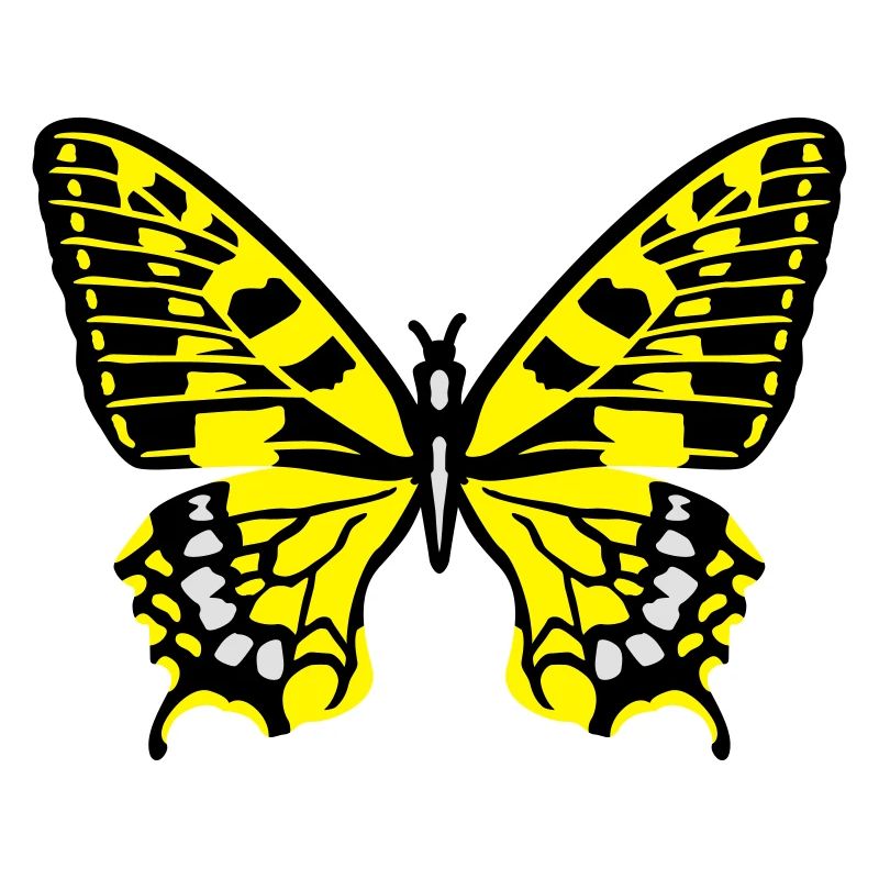 Papillon