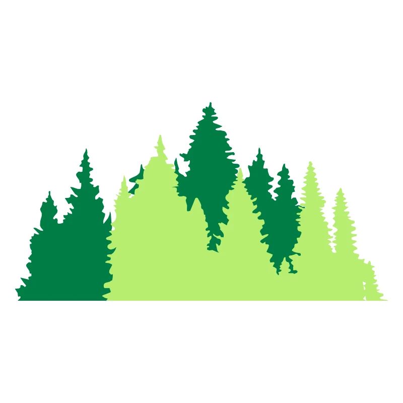 conifer forest tree forest conifer forest silhouette f