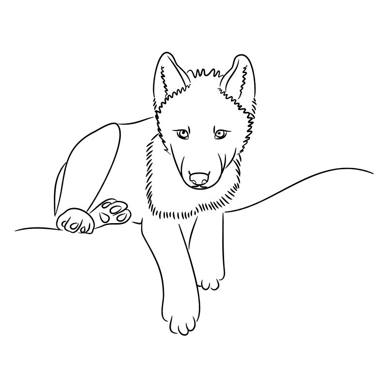 Loup