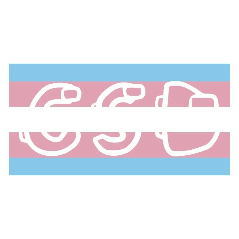 Drapeau de la fierté trans CSD