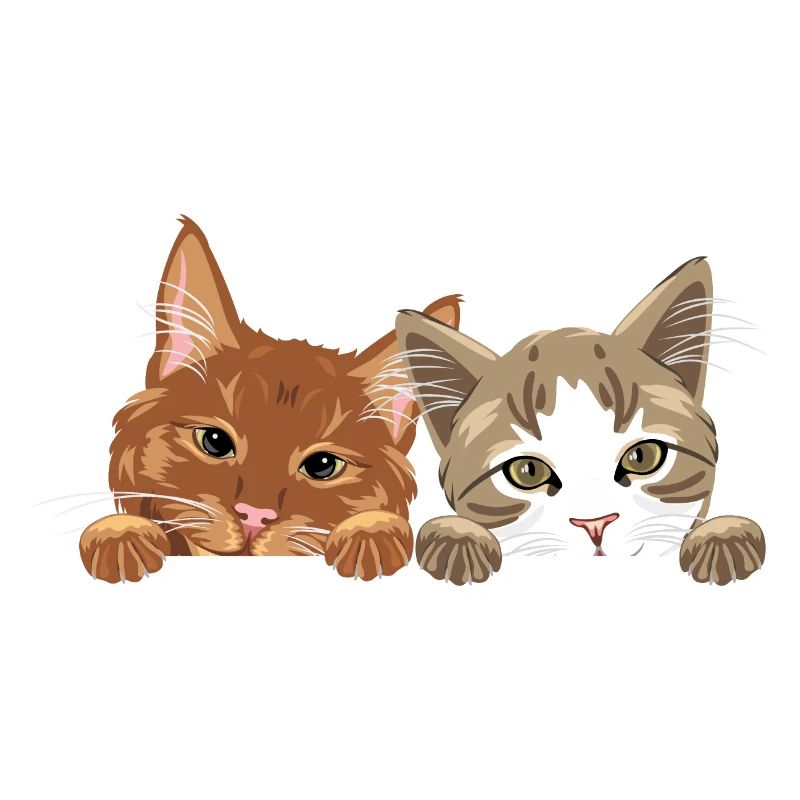 Jeter un coup d’œil mignon deux chats