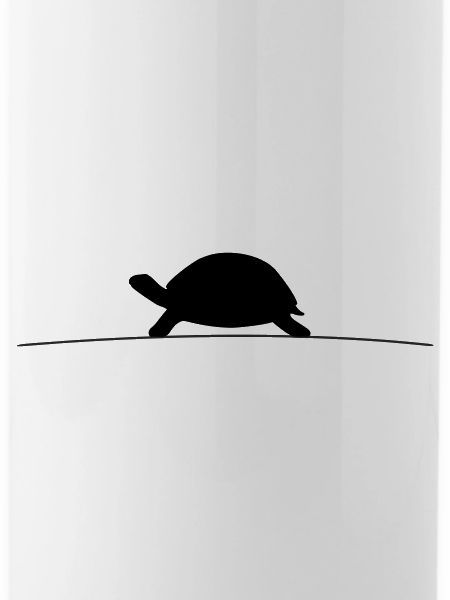 Turtle Silhouette