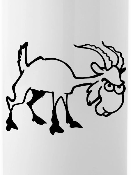 Bouc