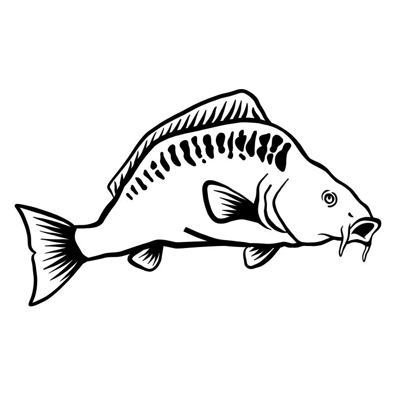 carpa
