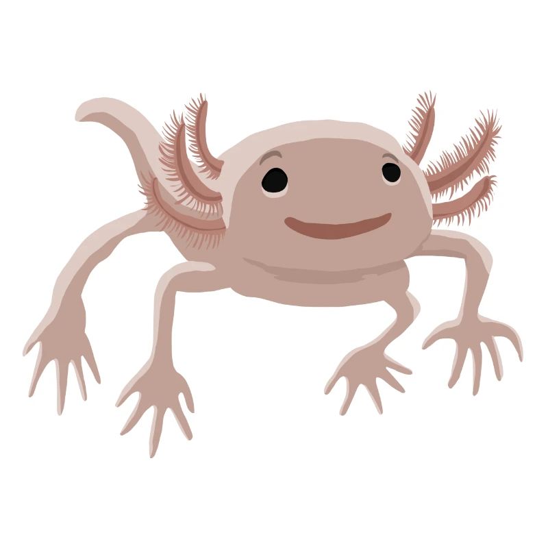 Axolotl