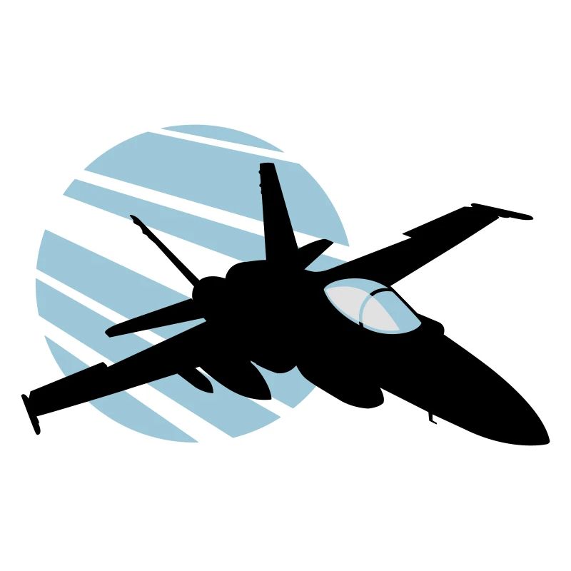 fighter