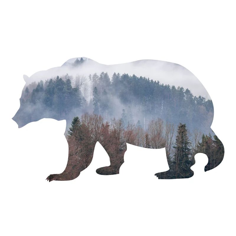 Bär mit Wald