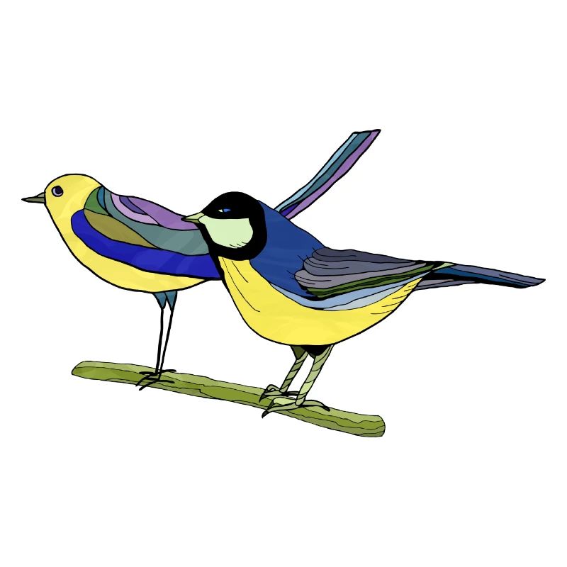 Oiseaux
