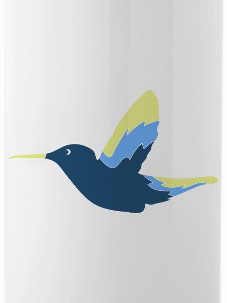 Colibri Oiseau